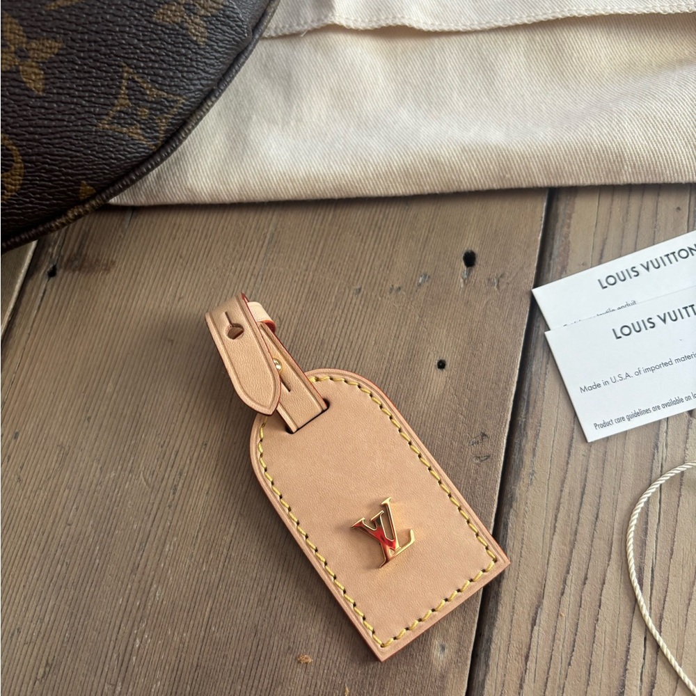 Louis Vuitton High Rise Bum Bag, no strap - Picture 3 of 11